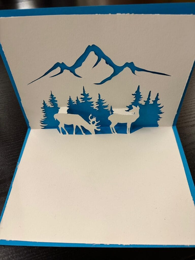 WhatsApp Image 2025 12 12 At 15.04.25 (3)