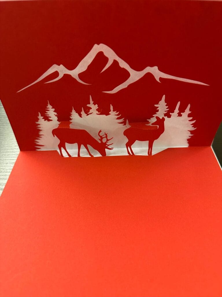 WhatsApp Image 2025 12 12 At 15.04.25 (7)